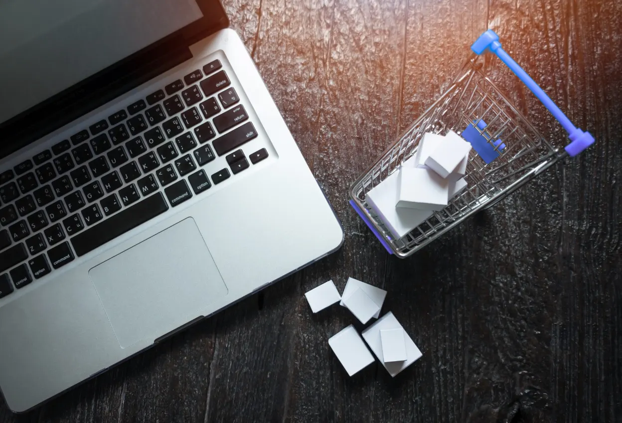 Navigating E-commerce Policies